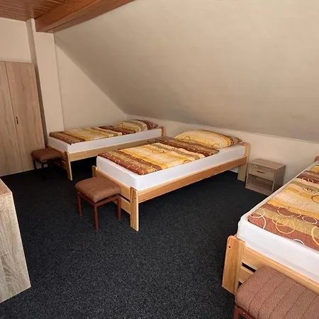 U Lesa * Karlova Studánka