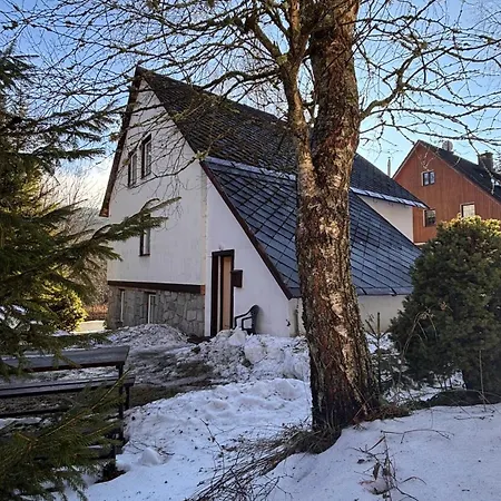 Affittacamere U Lesa *