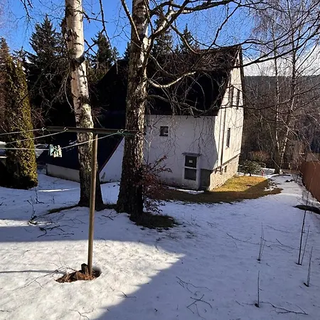 U Lesa Affittacamere *