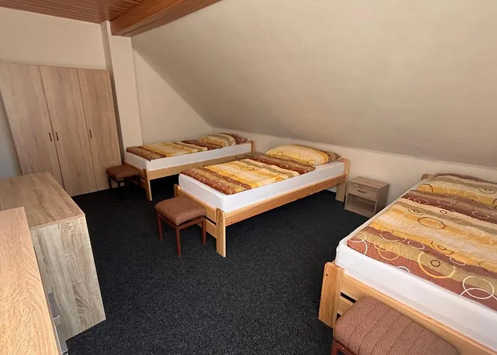 U Lesa * Karlova Studánka