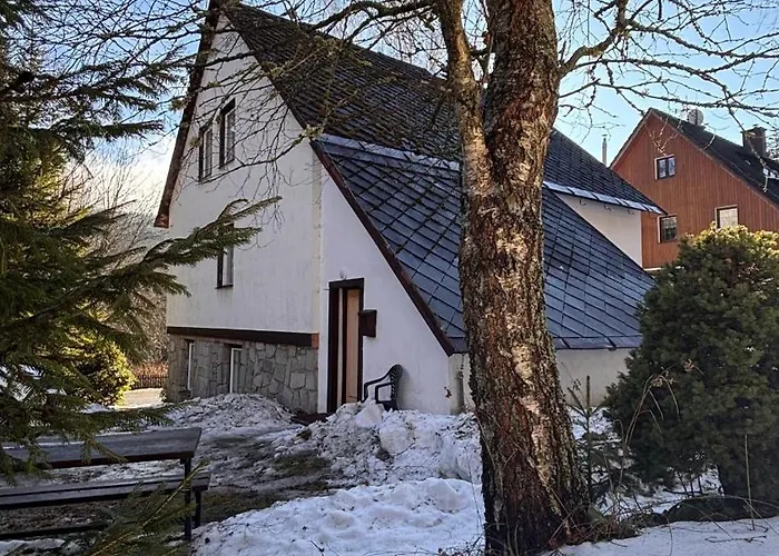 Affittacamere U Lesa *